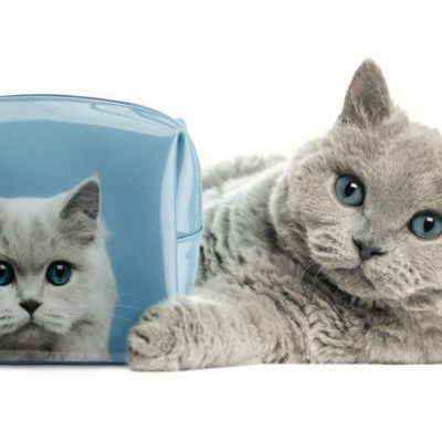 Neceser chica cat on blue